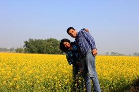 Mustard fields of Uttar Pradhesh, India